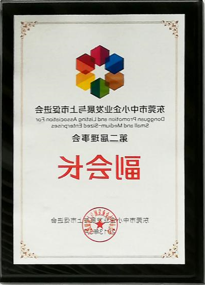 2013年东莞市中小企业发展与上市促进会第二届理事会副会长