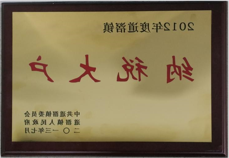 道滘镇2012年纳税大户企业