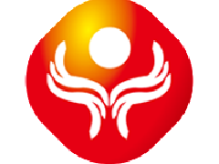 国立科技上半年营收同比增长75%